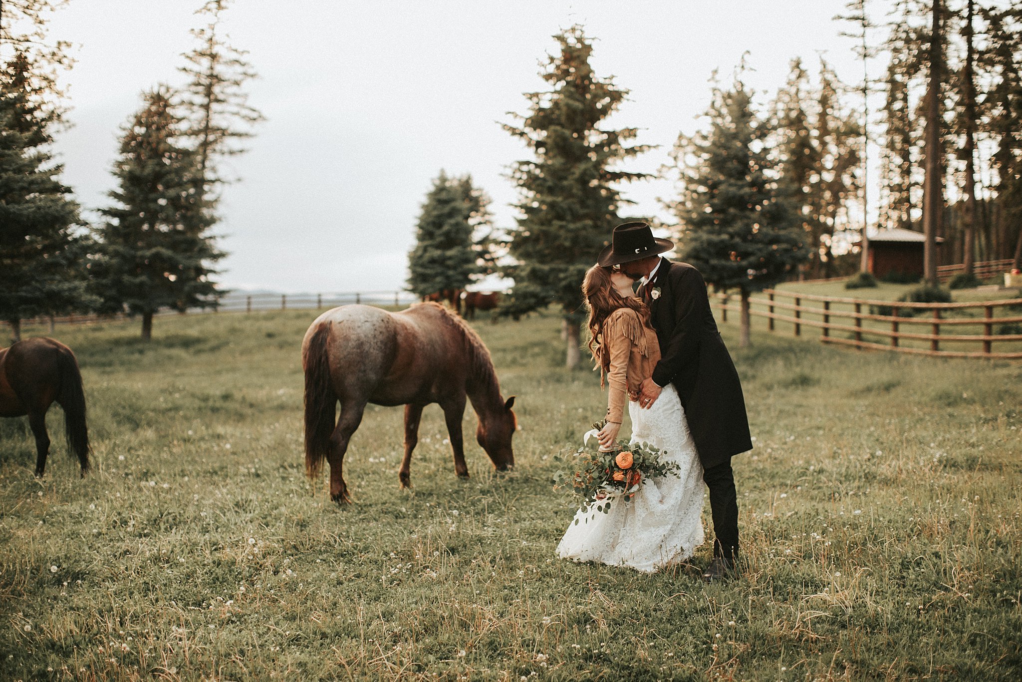 Bride and groom in a field with horses